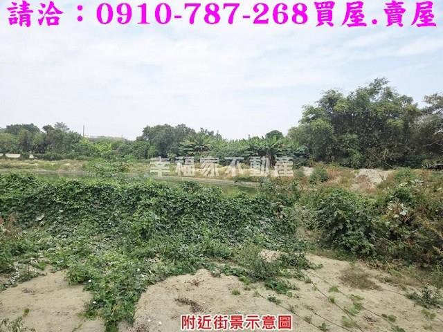 歸仁農地-11