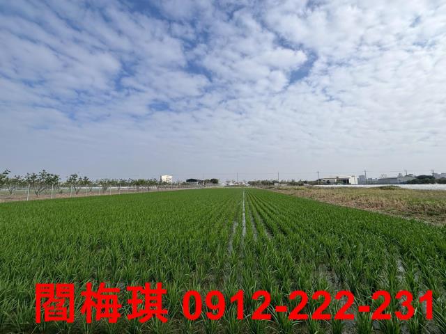 麻豆農地-4