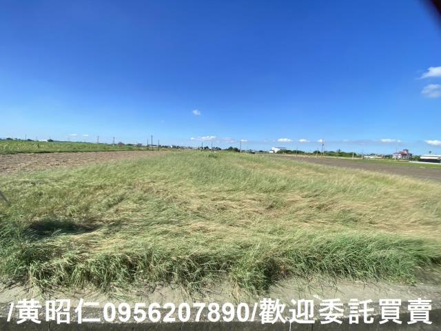 西港農地-1