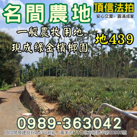 南投名間法拍農地-1