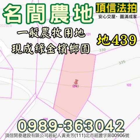 南投名間法拍農地-3