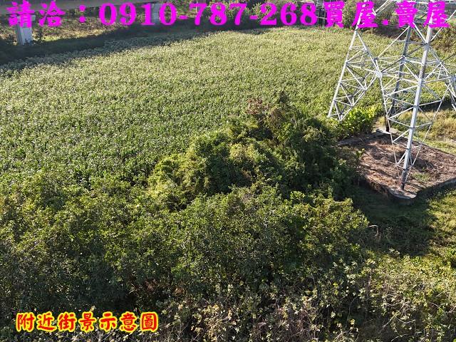 台南新市農地-6