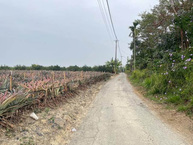 嘉義大林農地-1