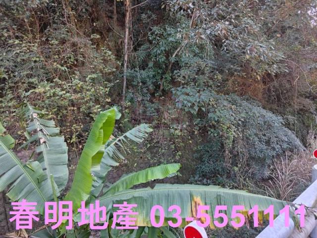 芎林林地-6