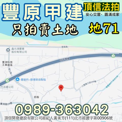 台中法拍建地-4