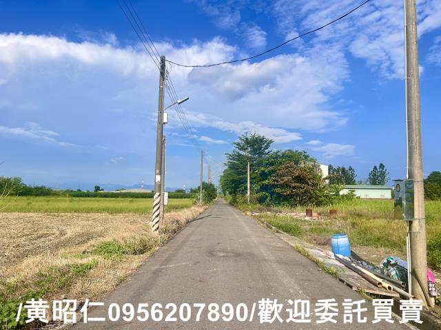 台南善化農地-4