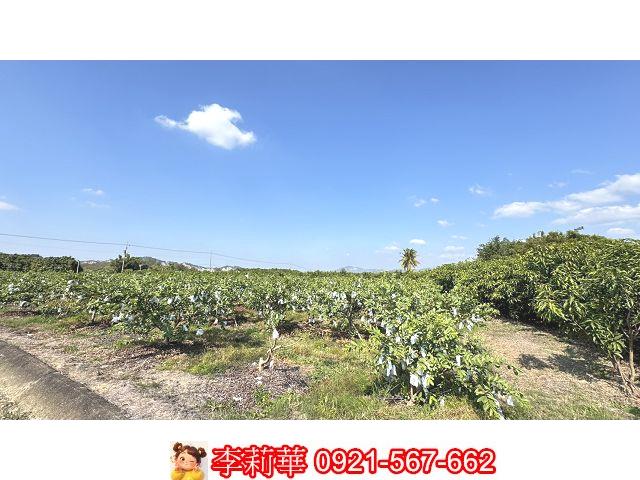 台南玉井農地-11