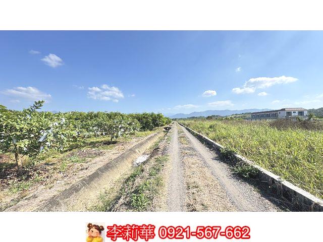 台南玉井農地-9