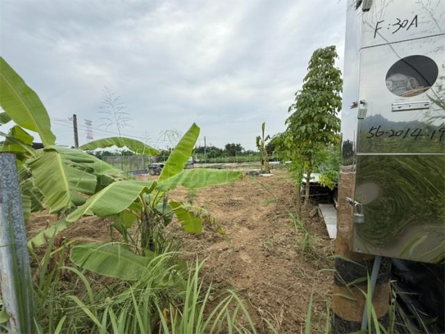 高雄大社農地-8