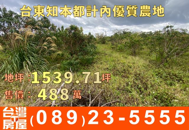 台東台東市農地-8