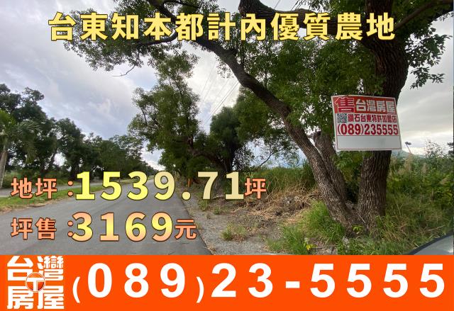 台東台東市農地-1