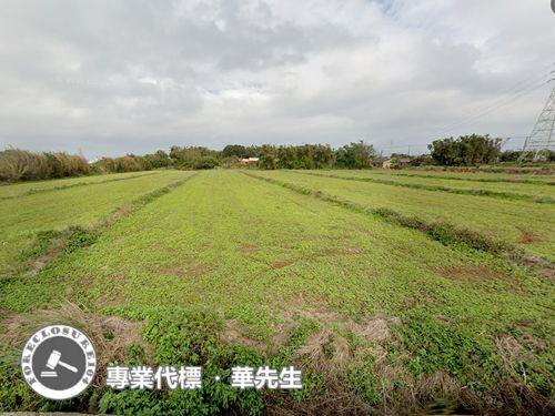 桃園觀音農地法拍-2
