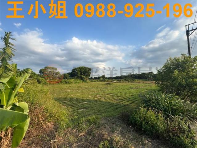 桃園楊梅農地-2