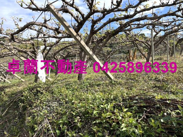 苗栗卓蘭農地-9