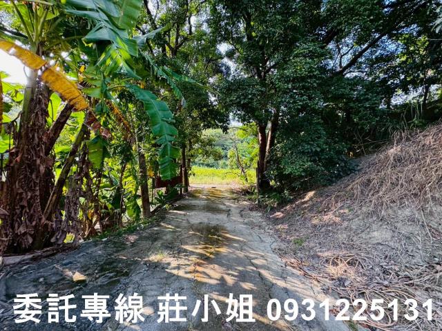 台南左鎮農地-6