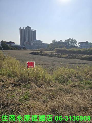 善化農地-4