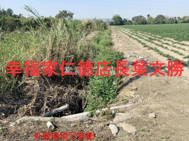 善化農地-13