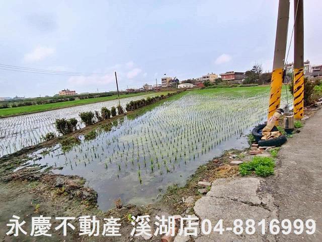 彰化福興農地-8