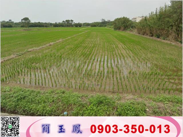 觀音農地-1