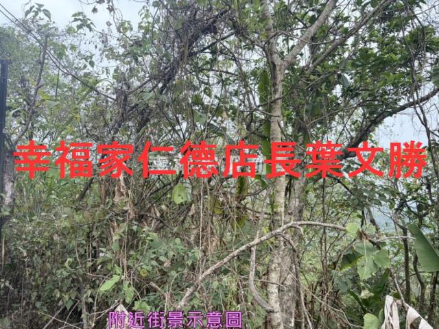 台南白河農地-5