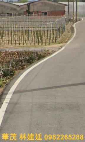 嘉義中埔農地法拍-4