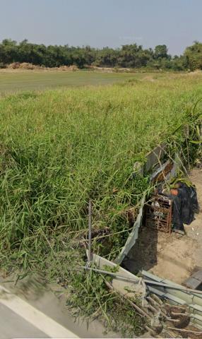 嘉義大林法拍農地-5