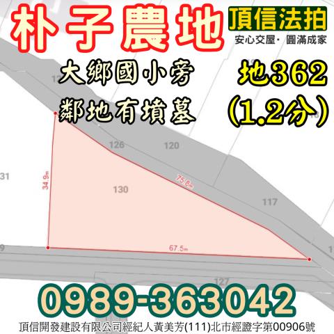 朴子農地拍賣-3