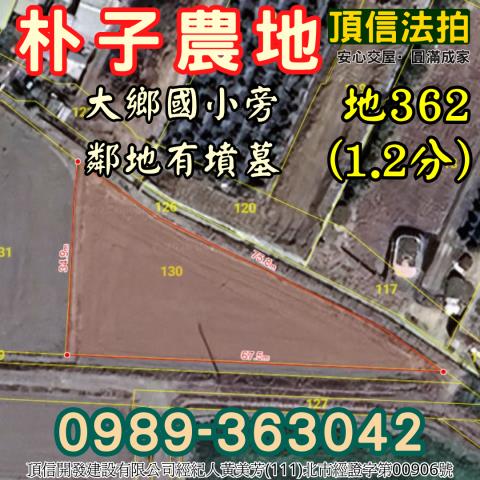 朴子農地拍賣-4