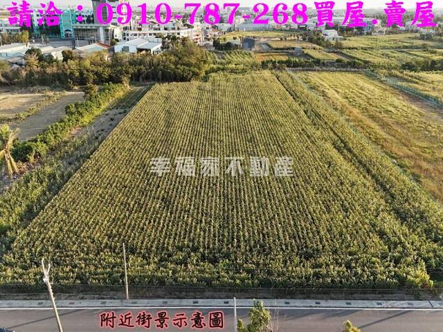 台南西港農地-3