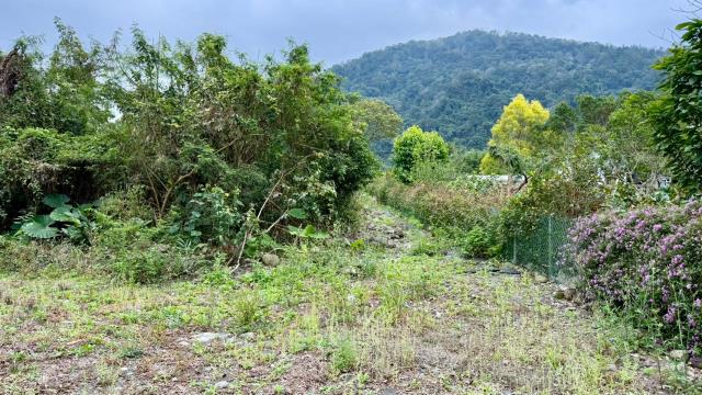 新竹橫山農地-5