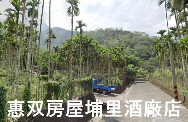 南投魚池農地-3