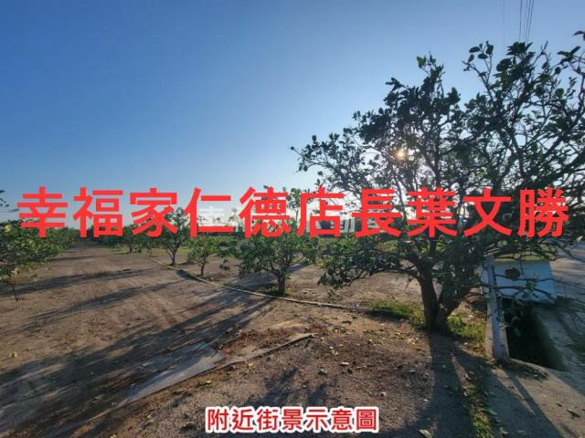 台南麻豆農地-7