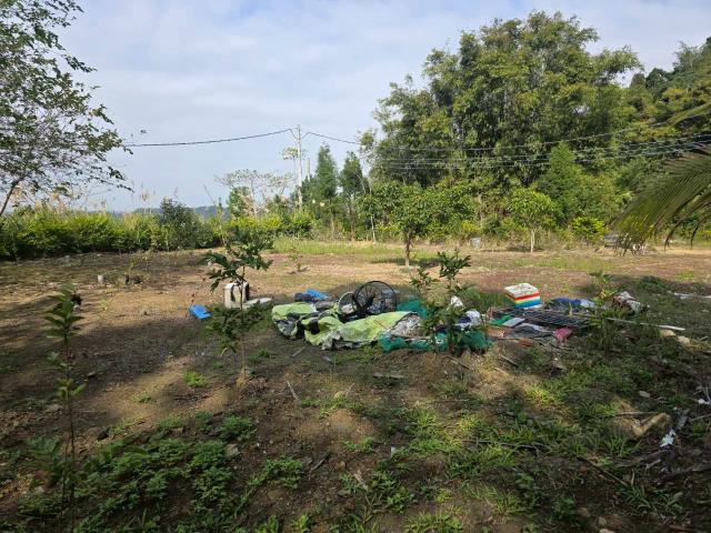 新竹橫山農地-3