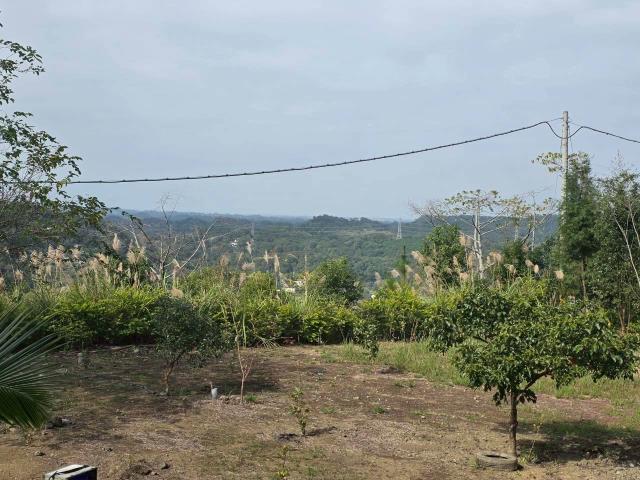 新竹橫山農地-4