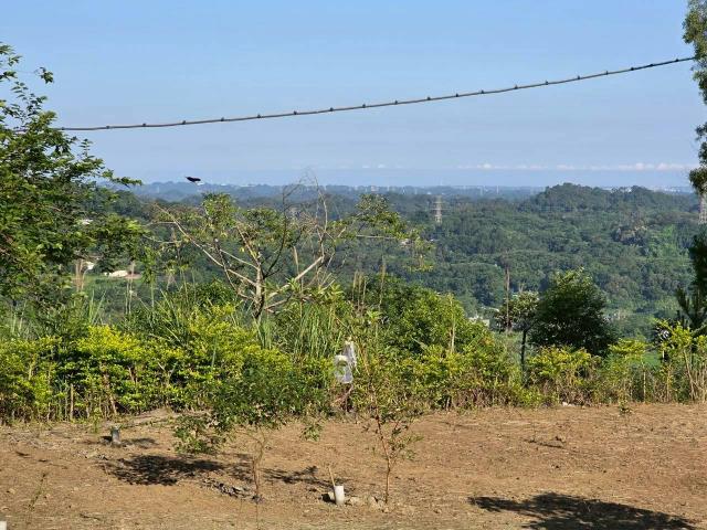 新竹橫山農地-7