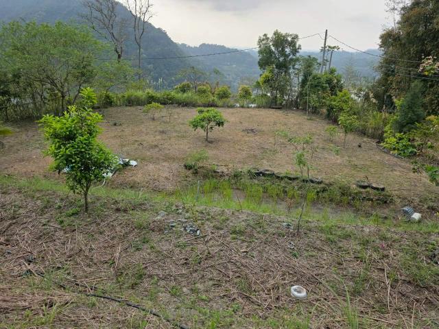 新竹橫山農地-9