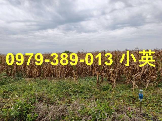 台南鹽水農地-2