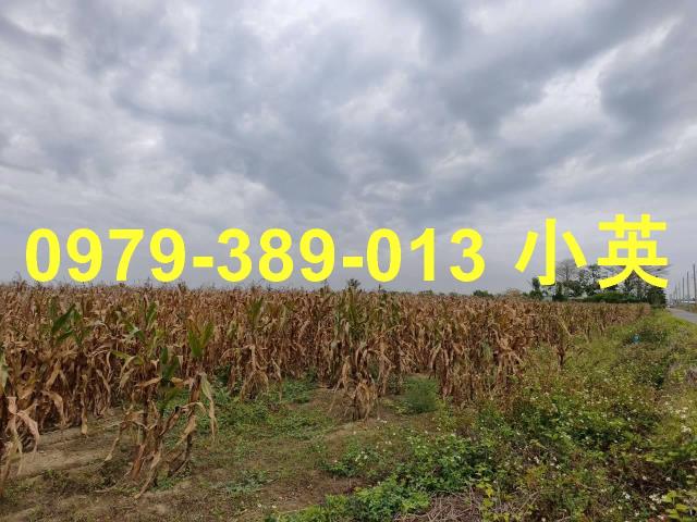 台南鹽水農地-10