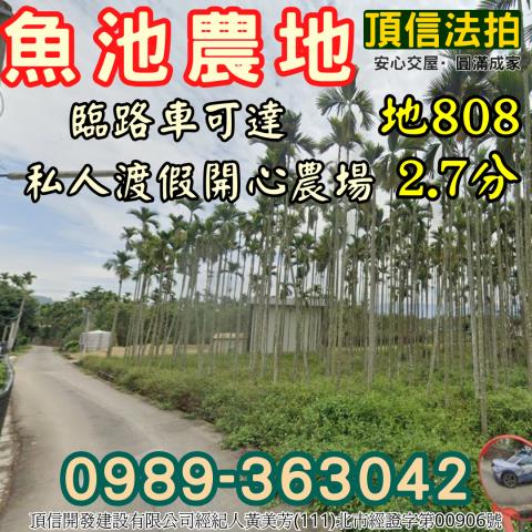 南投魚池法拍農地-1