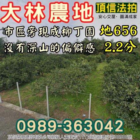 大林法拍農地-2