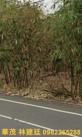 梅山法拍農地-5