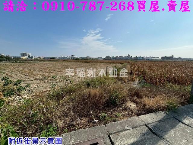 台南佳里農地-6