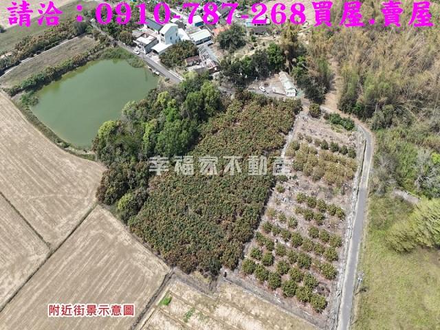 台南官田農地-1