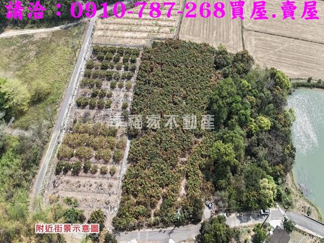 台南官田農地-2