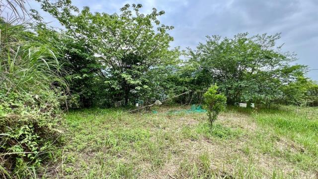 新竹橫山農地-11