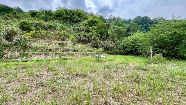 新竹橫山農地-5