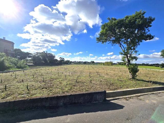 桃園平鎮農地-12