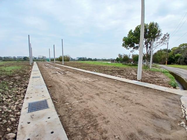 桃園平鎮農地-1