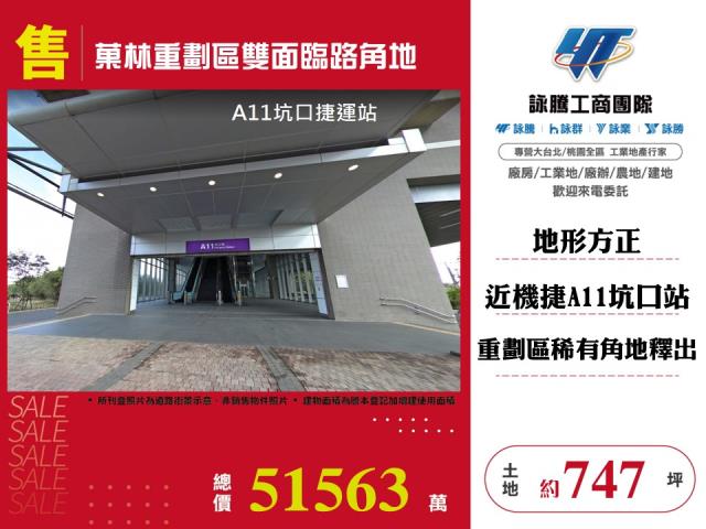 桃園大園建地-1