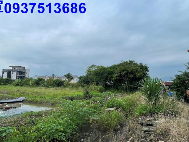 宜蘭宜蘭市農地-15